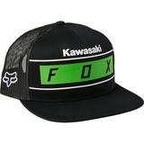 Fox Kawasaki Kawi Stripes
