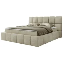 MKS Meble Boxbett mit Bettkasten ¦ beige ¦ Maße (cm): B: 214 H: 113