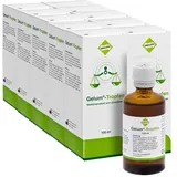 Dreluso-Pharmazeutika Dr.Elten & Sohn GmbH Gelum Tropfen