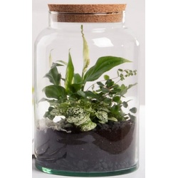 esschert design Übertopf Halboffene Terrarium Flasche Glas 7L Pflanzen Deko Gewächs Haus Blumen Kork Haus