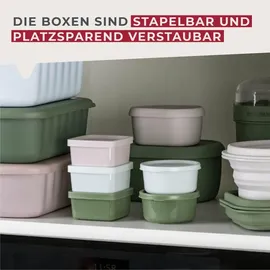 Fackelmann Snacking-Boxen 3er-Set 3,3 x 8 cm grün
