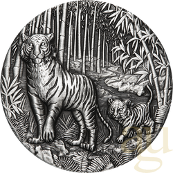 2 Unzen Silbermünze Australien Lunar III Tiger 2022 Antik Finish