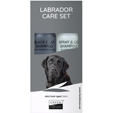 Greenfields Hundeshampoo Geschenk Set für Schwarze Labrador (Dunkles Fell) - 2 x 250 ml, 4675