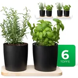 Novaliv Kräuterstation 6er Set 14,50 cm Schwarz