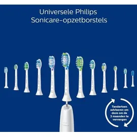 Philips Sonicare ProtectiveClean 4300 HX6800/35 Doppelpack + Reiseetui
