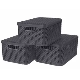 Curver 3-er Set Box M Anthrazit