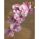 artplants.de Kunstzweig Phalaenopsis Orchidee Ricky, rosa, 105cm - Kunst Orchidee - Orchideenzweig künstlich