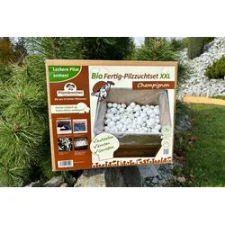 Bio Champignon-Pilzzuchtset