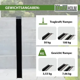 Trutzholm Auffahrschiene 50 kg