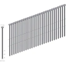 Prebena Prebena, Tackerklammern + Tackernägel, CoilNägel verzinkt mit Ringschaft drahtmagaziniert90 mm