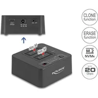 DeLock USB 20 Gbps M.2 Dockingstation für 2 x