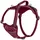 Company of Animals Anatomy Hundegeschirr Bordeaux XL