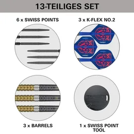 Target Darts Raymond van Barneveld G6 23 g