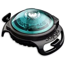Orbiloc Dog Dual Light Türkis
