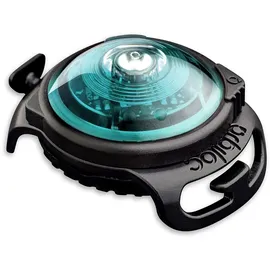 Orbiloc Dog Dual Light Türkis
