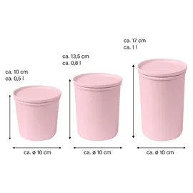 awave® Frischhaltedose rosa 0,5 l 3-teiliges Set