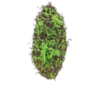Hti-Living Moosmatte 90 x 30 cm Kunstpflanze Flora