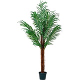 PLANTASIA PLANTASIA® Kokospalme, Kunstpalme Kunstpflanze 160cm