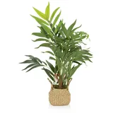 HJH Office Kunstpflanze CHAMAEDOREA / grün