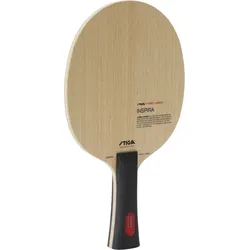 Schlägerholz Tischtennis Inspira Hybrid Carbon Konkav