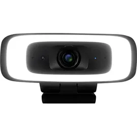 AVerMedia CAM130 Schwarz/Weiß