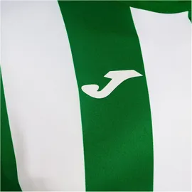 Joma Inter Classic langarm Trikot 452 - grün/weiß M