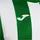 Joma Inter Classic langarm Trikot 452 - grün/weiß M
