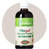 st. hildegard posch Hildegard Pilogal Galgant Tropfen 100 ml
