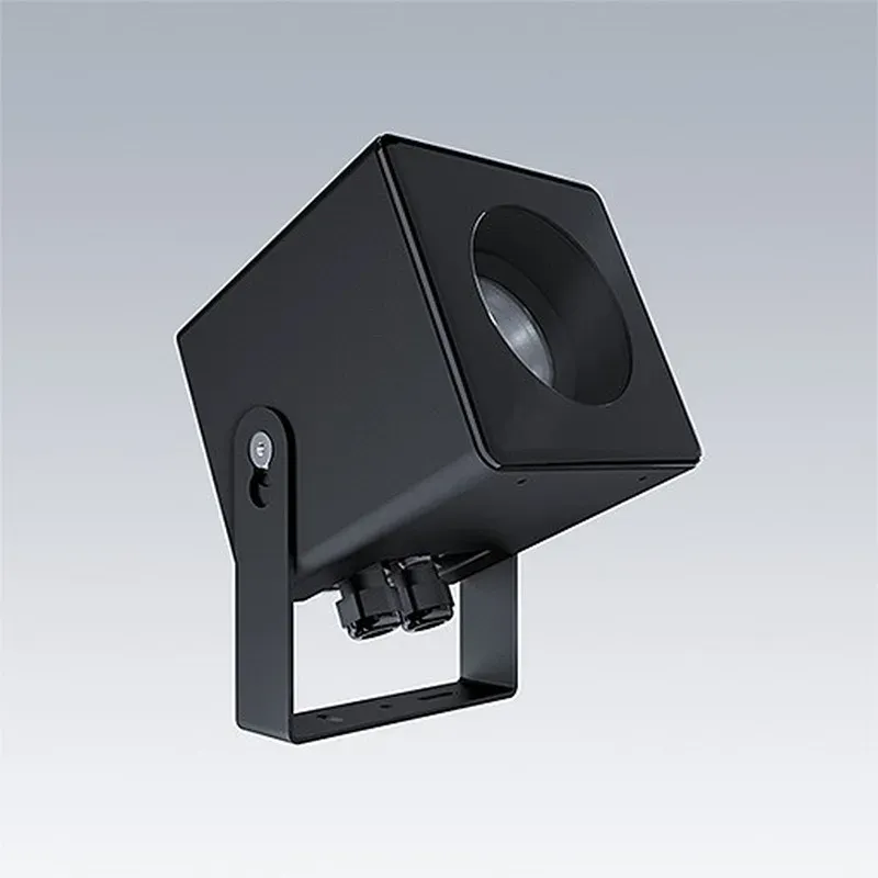 Thorn LED-Architekturfluter CAELON S12 #21033997
