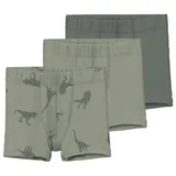 NAME IT Jungen Nmmtights 3p Agave Green Dino Noos Boxershorts, Agave Green, 86 EU - 86