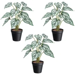 CREATIV green Künstliche Pflanze Syngonium 38cm im Topf