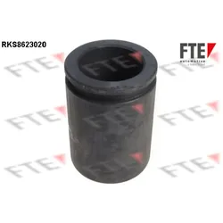 Kolben Bremssattel FTE 9313204