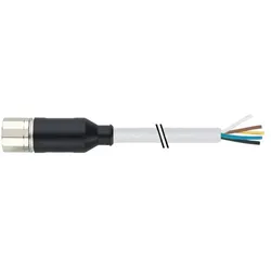 Murr Elektronik Steckverbinder M23 Buchse 19-polig 7000-23251-452 - Kabel - 5 m