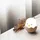 MegaLight Eggy Egg