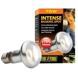 Exo Terra Intense Basking Spot 75 W