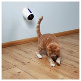 Trixie Laser-Pointer Moving Light 11 cm weiß/blau