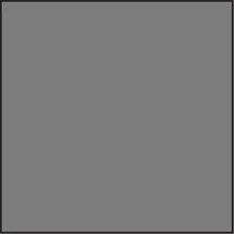 LEE System 100 x 100mm 0.6 Standard 100X100