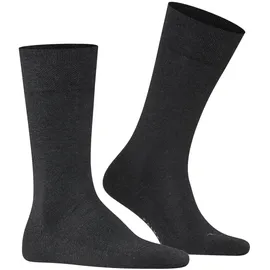 Falke Herren Socken Multipack - Sensitive London, Strümpfe, Uni, Baumwollmischung Anthrazit 47-50