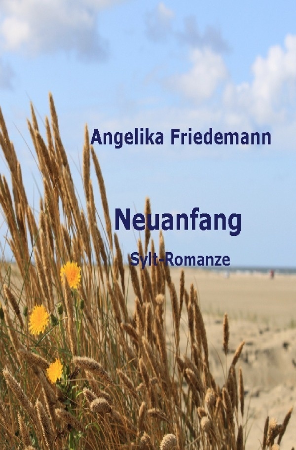Neuanfang - Angelika Friedemann  Kartoniert (TB)