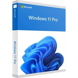 Microsoft Windows 11 Pro ESD DE