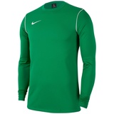 Nike BV6901 Y NK Dry PARK20 Crew TOP Sweatshirt Boys Pine Green/White/White M