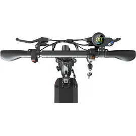 Joyor Y6-S schwarz