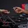 RØDE Microphones RØDE Colors 2 Identifikations-Set für Wireless GO (II) Funkstrecken und Lavalier GO