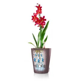 LECHUZA Deltini Komplettset 15 x 15 x 19 cm taupe  hochglanz