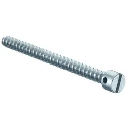 KAISER 2444-40 Plombierschrauben, L=15 mm, mit Querbohrung im Schraubenkopf 244440  - 100 Stück