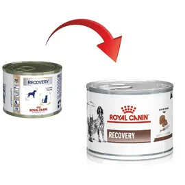 Royal Canin Recovery Canine & Feline 195 g