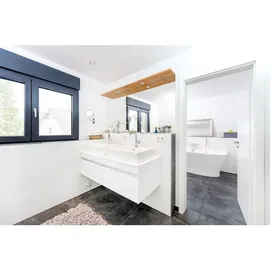 Mellerud Schimmel Vernichter 500 ml