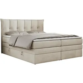 MKS Premium 10 King 140 x 200 cm H3 Beige