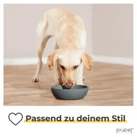 PiuPet PiuPet® Hundenapf-Set 1,6L Grau