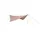 Spatz Squarewing 350 BTC Braun